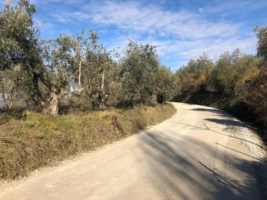 Вилла La Vigna Agriturismo Сиена Экстерьер фото