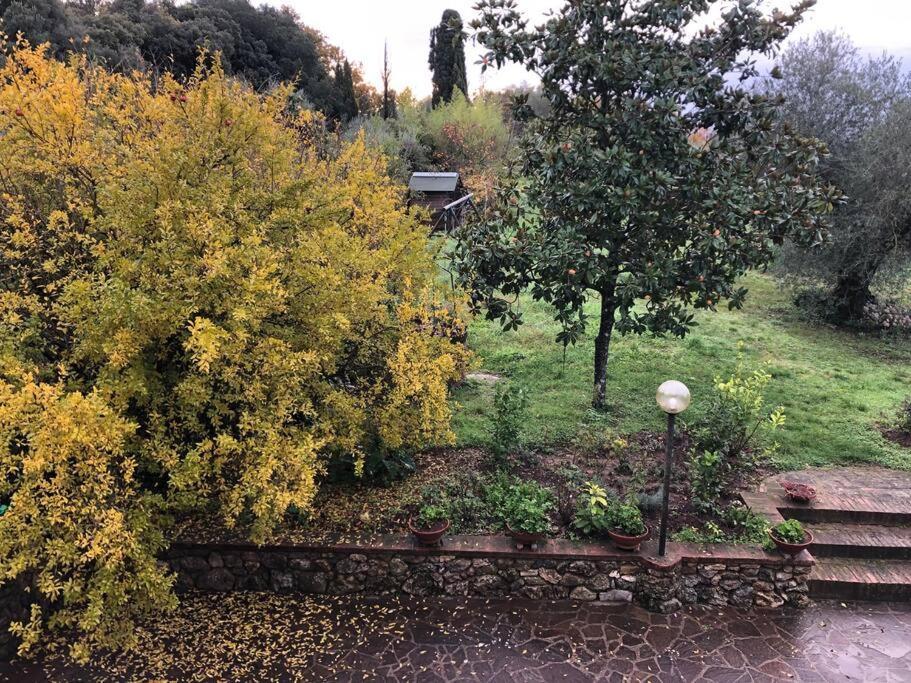 Вилла La Vigna Agriturismo Сиена Экстерьер фото