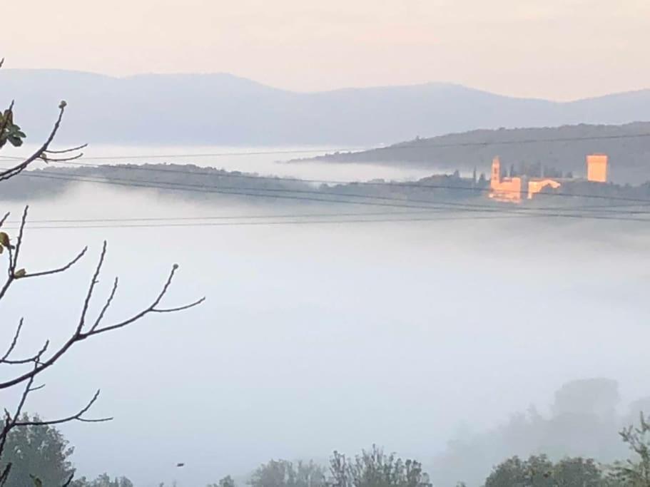 Вилла La Vigna Agriturismo Сиена Экстерьер фото