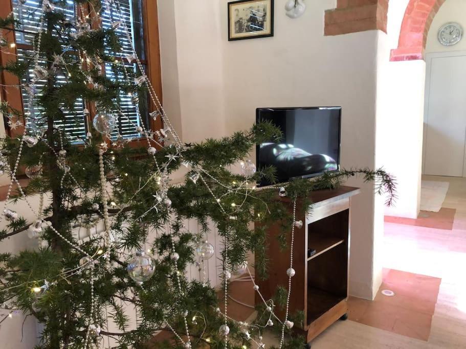 Вилла La Vigna Agriturismo Сиена Экстерьер фото