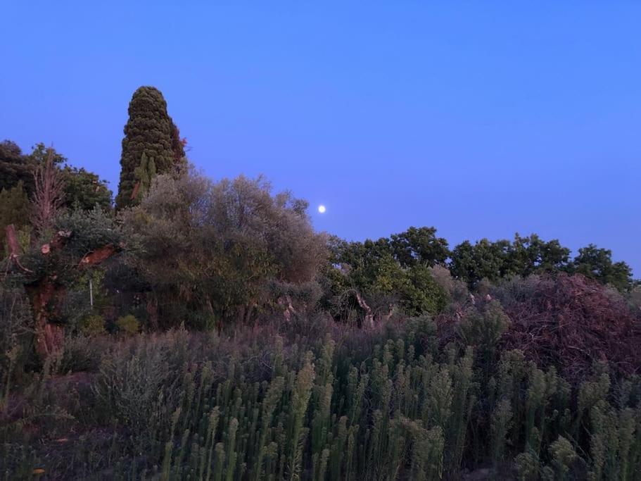 Вилла La Vigna Agriturismo Сиена Экстерьер фото