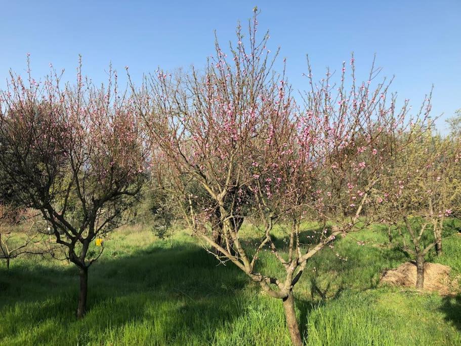 Вилла La Vigna Agriturismo Сиена Экстерьер фото