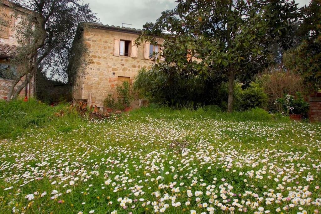 Вилла La Vigna Agriturismo Сиена Экстерьер фото